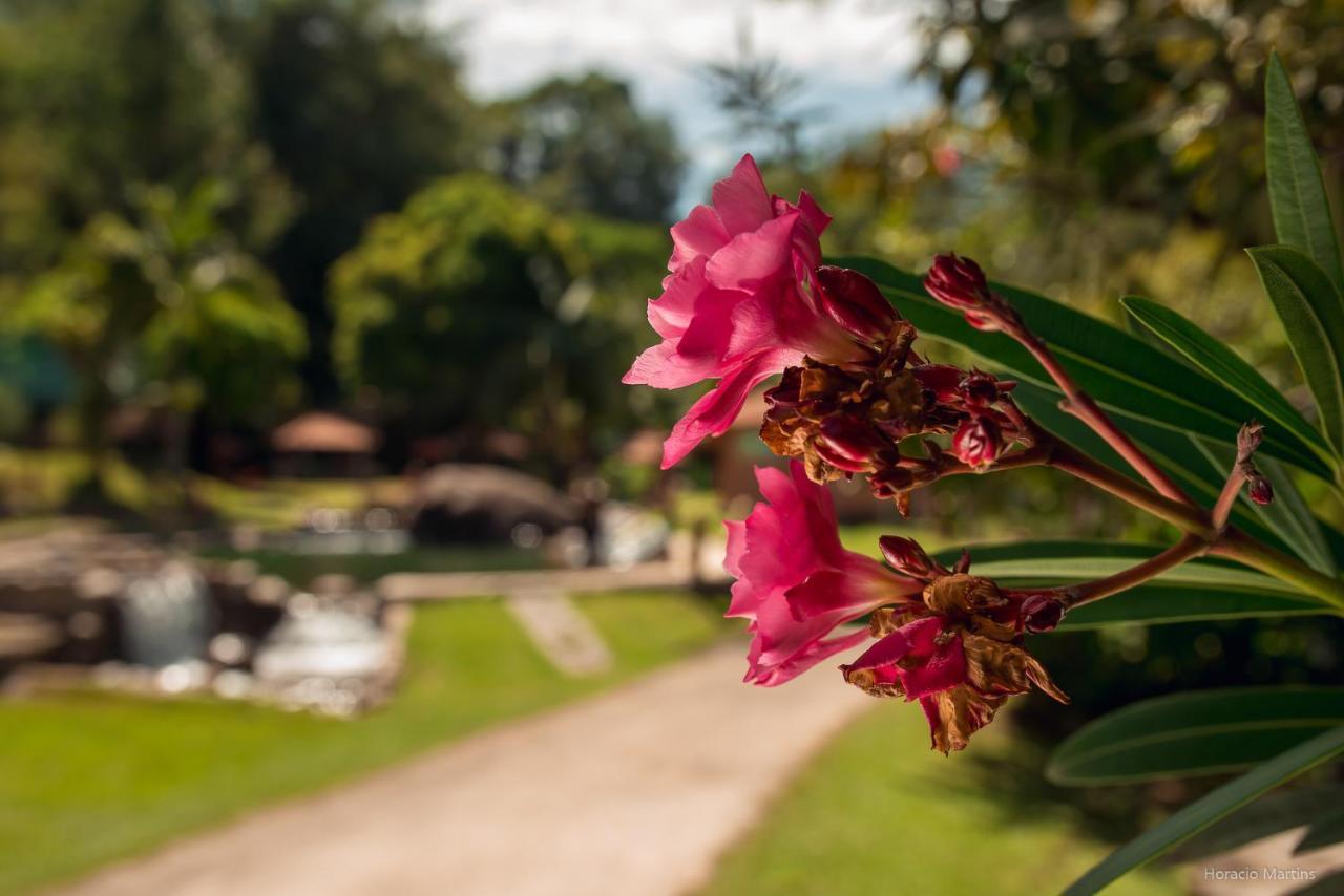 Inn Rancho Do Zé João